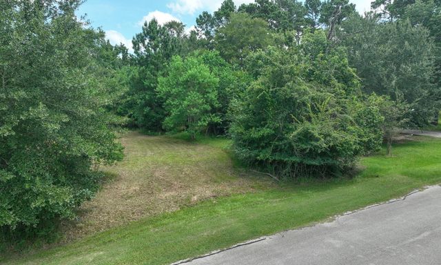 18718 Connie Avenue, Magnolia, TX 77355