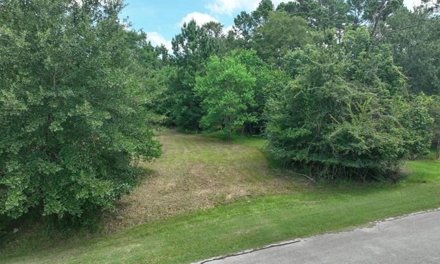 18718 Connie Avenue, Magnolia, TX 77355