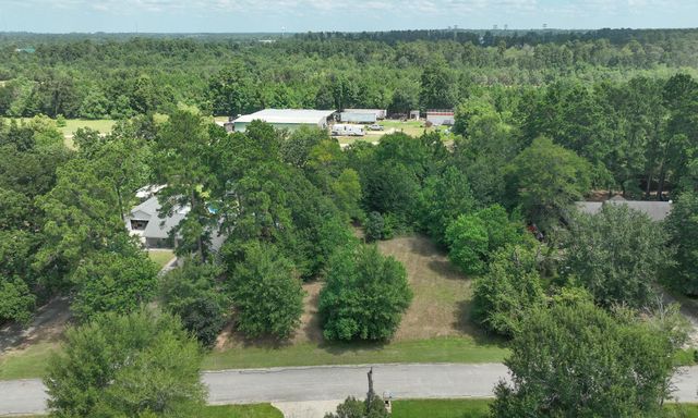 18718 Connie Avenue, Magnolia, TX 77355