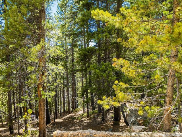 9 Rainbow Road, Idaho Springs, CO 80452