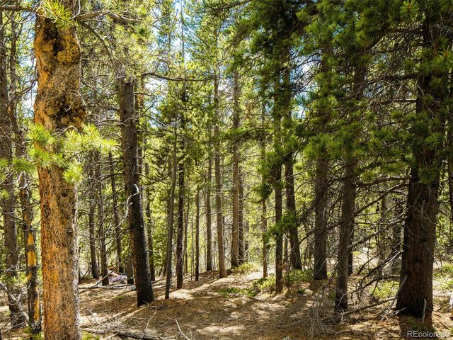 9 Rainbow Road, Idaho Springs, CO 80452