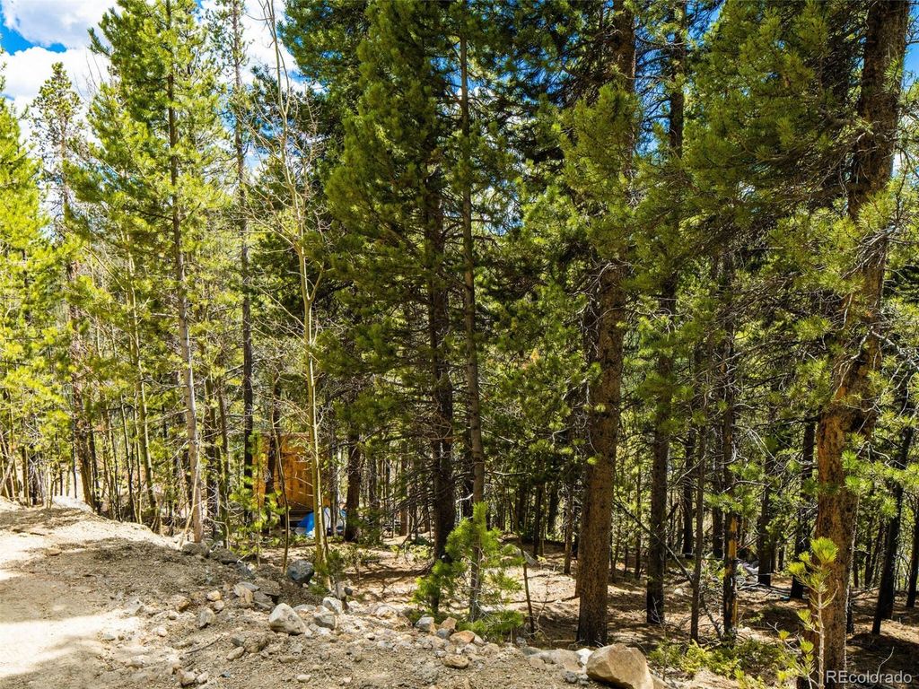 9 Rainbow Road, Idaho Springs, CO 80452