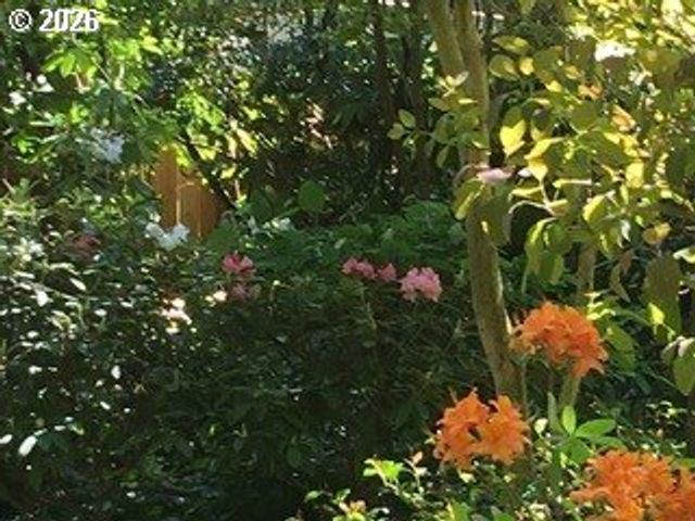 902 Ne THOMPSON St, Portland, OR 97212