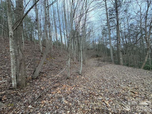 21 Pier Drive 78, Nebo, NC 28761