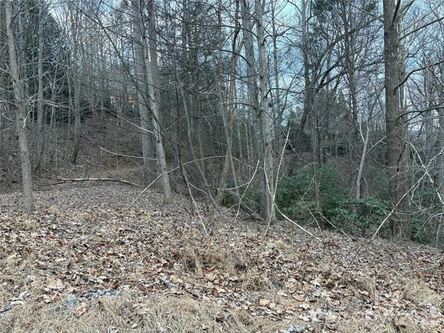 21 Pier Drive 78, Nebo, NC 28761