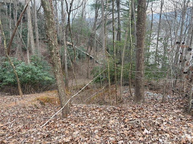 21 Pier Drive 78, Nebo, NC 28761