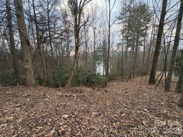 21 Pier Drive 78, Nebo, NC 28761