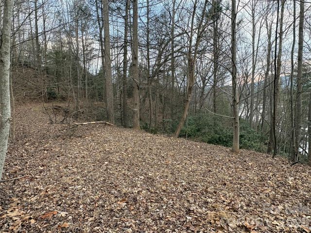 21 Pier Drive 78, Nebo, NC 28761