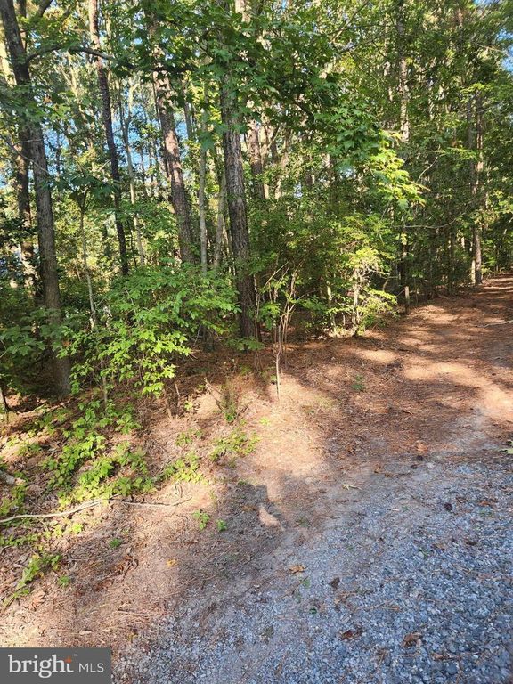 TOUHEY DR, Stevensville, MD 21666