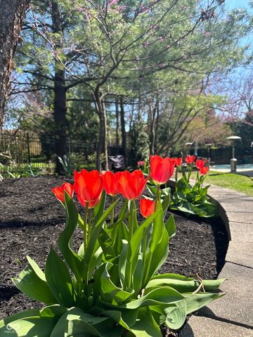 13727 Smokey Ridge Overlook, Carmel, IN 46033