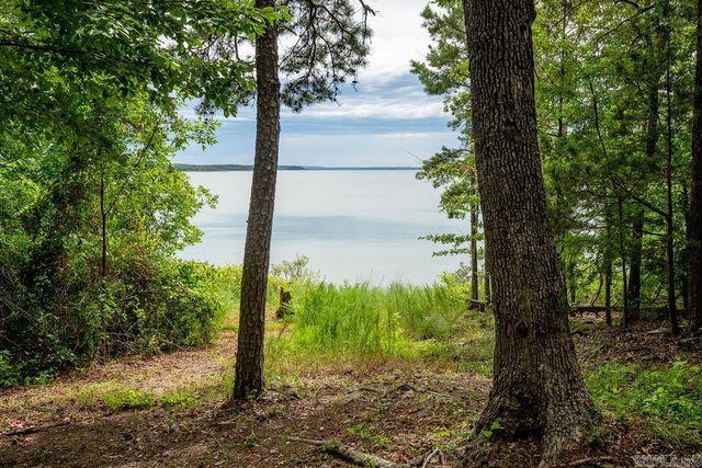 445 Tortoise Bay Road, Higden, AR 72067