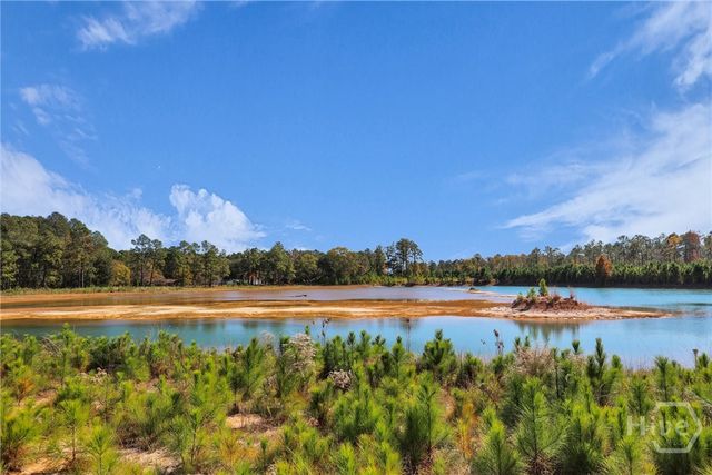 965 Old Olive Branch Road, Ellabell, GA 31308