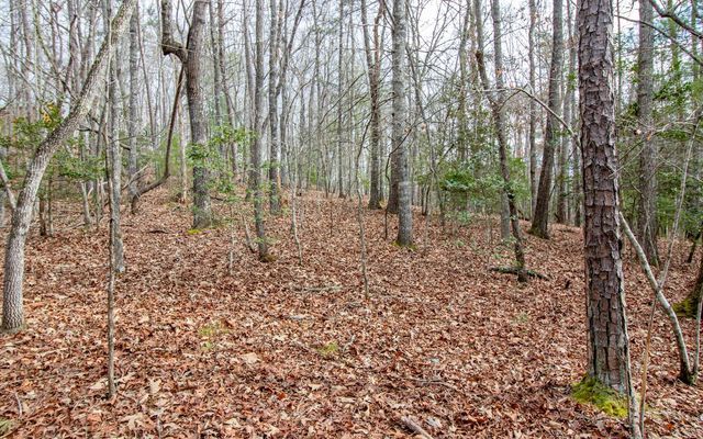 00 Old Evans Road, Murphy, NC 28906