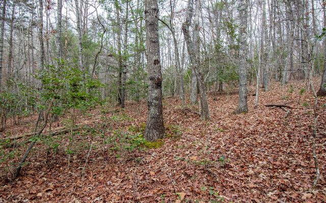 00 Old Evans Road, Murphy, NC 28906