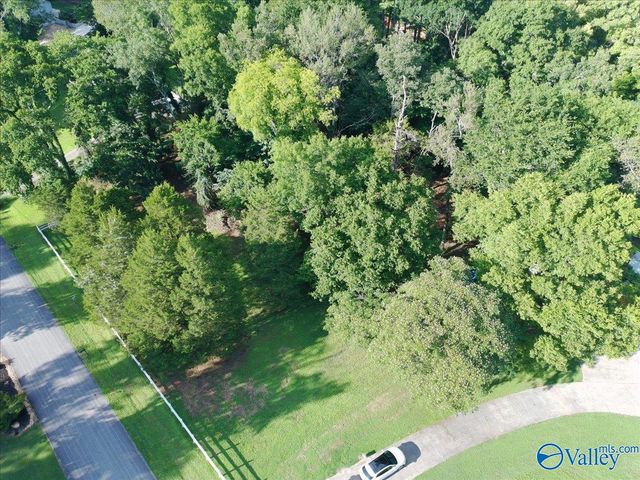 lot 3 Western Hills Drive, Madison, AL 35757