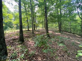0 Eagle Nest Ln, Big Sandy, TN 38221