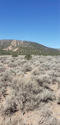 Lot 589 County Lane 6, Fort Garland, CO 81133