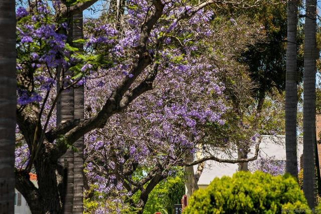 3266 1st Ave. 20, San Diego, CA 92103