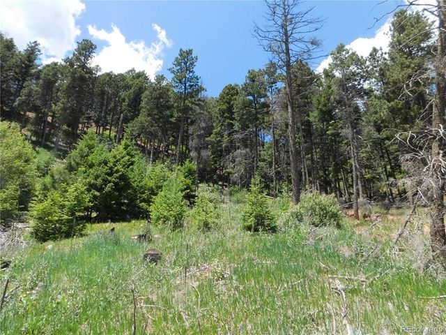 13520 Woodmoor West Drive, Larkspur, CO 80118