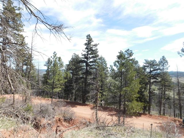 13520 Woodmoor West Drive, Larkspur, CO 80118