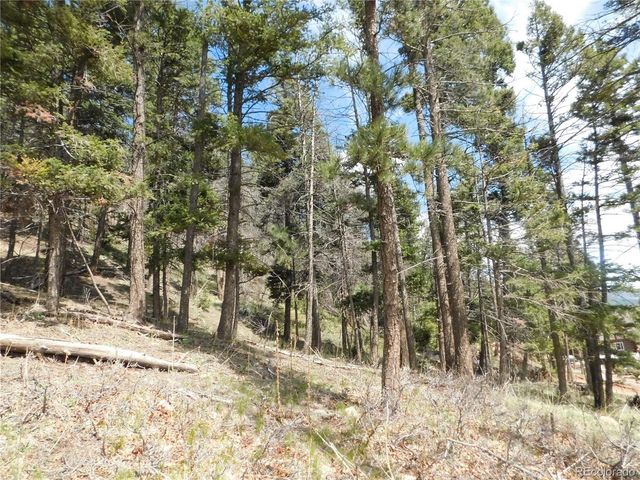 13520 Woodmoor West Drive, Larkspur, CO 80118