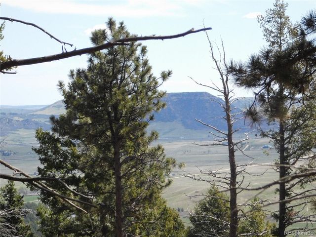 13520 Woodmoor West Drive, Larkspur, CO 80118