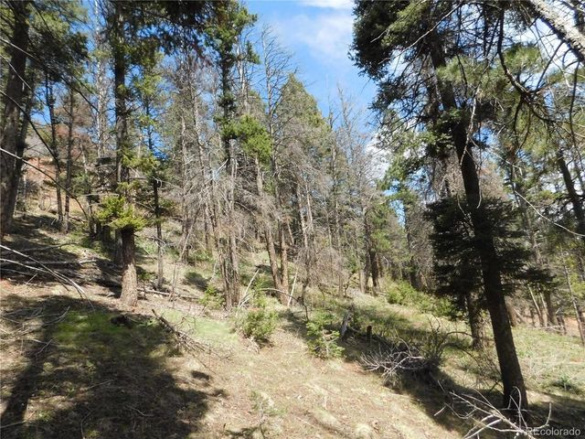 13520 Woodmoor West Drive, Larkspur, CO 80118