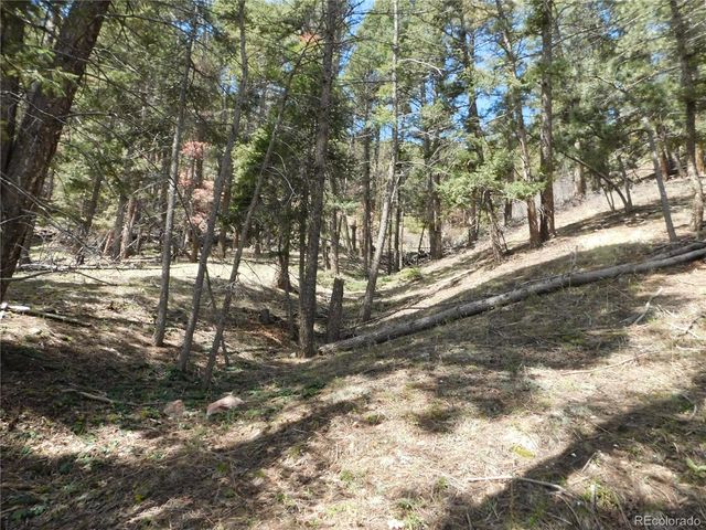 13520 Woodmoor West Drive, Larkspur, CO 80118