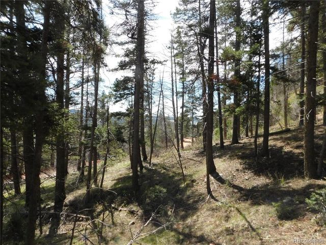 13520 Woodmoor West Drive, Larkspur, CO 80118