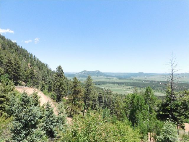 13520 Woodmoor West Drive, Larkspur, CO 80118