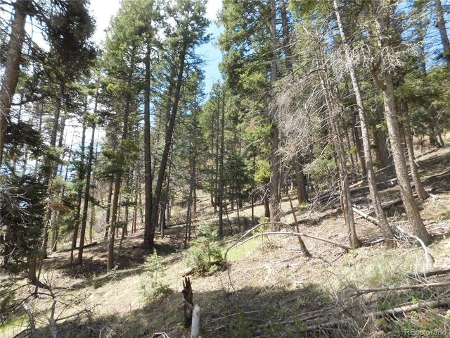 13520 Woodmoor West Drive, Larkspur, CO 80118