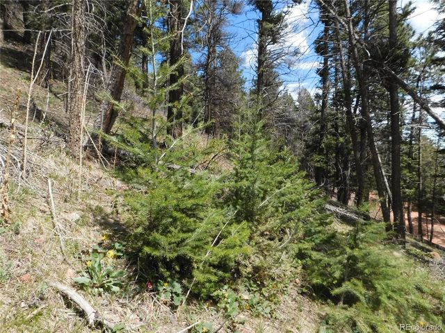 13520 Woodmoor West Drive, Larkspur, CO 80118