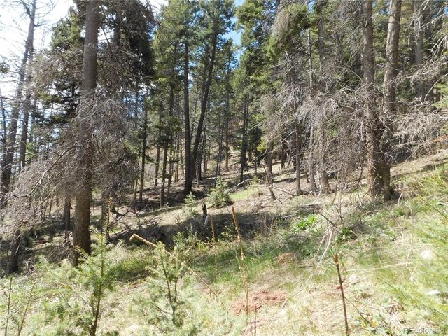13520 Woodmoor West Drive, Larkspur, CO 80118