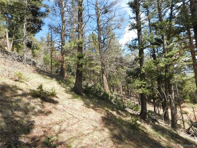 13520 Woodmoor West Drive, Larkspur, CO 80118