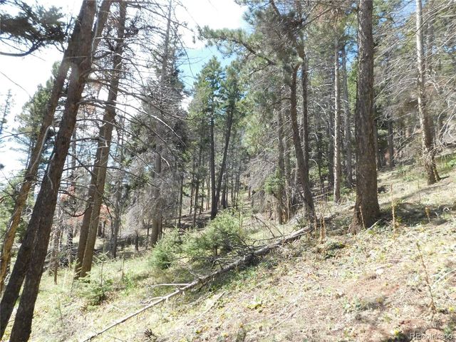 13520 Woodmoor West Drive, Larkspur, CO 80118