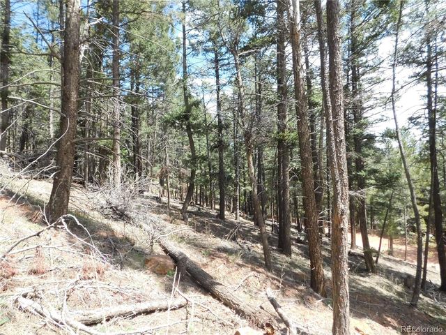 13520 Woodmoor West Drive, Larkspur, CO 80118