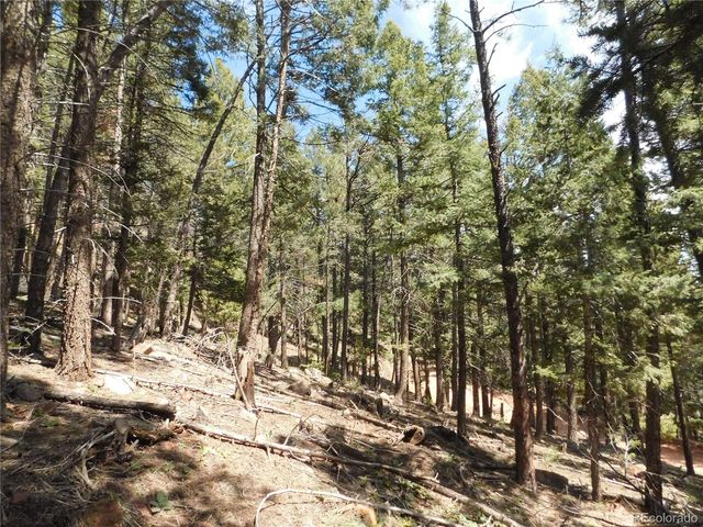 13520 Woodmoor West Drive, Larkspur, CO 80118