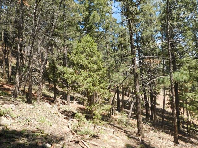 13520 Woodmoor West Drive, Larkspur, CO 80118