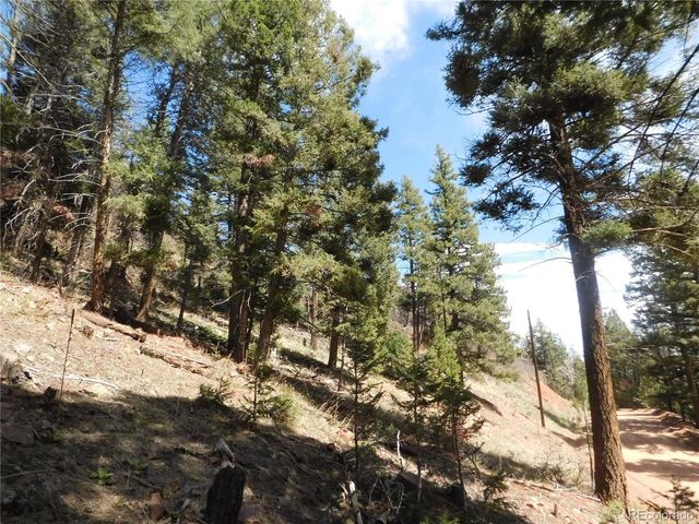 13520 Woodmoor West Drive, Larkspur, CO 80118