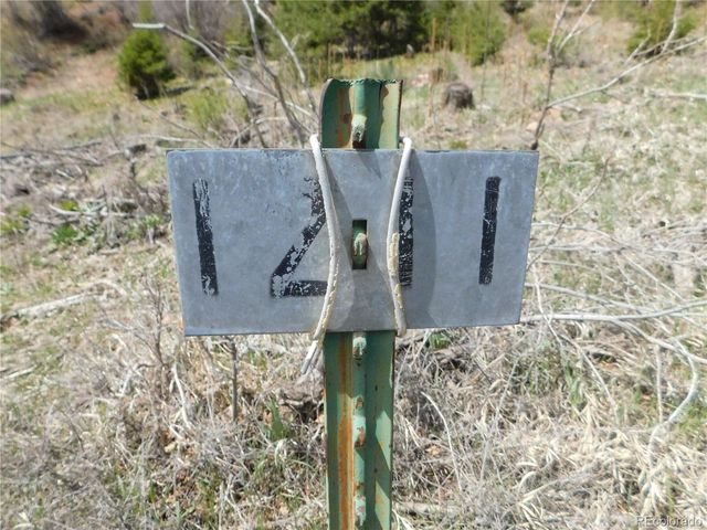 13520 Woodmoor West Drive, Larkspur, CO 80118