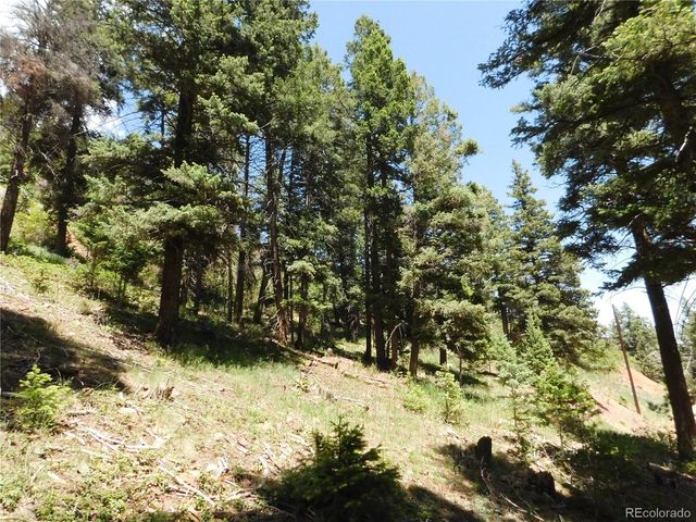 13520 Woodmoor West Drive, Larkspur, CO 80118