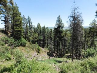13520 Woodmoor West Drive, Larkspur, CO 80118