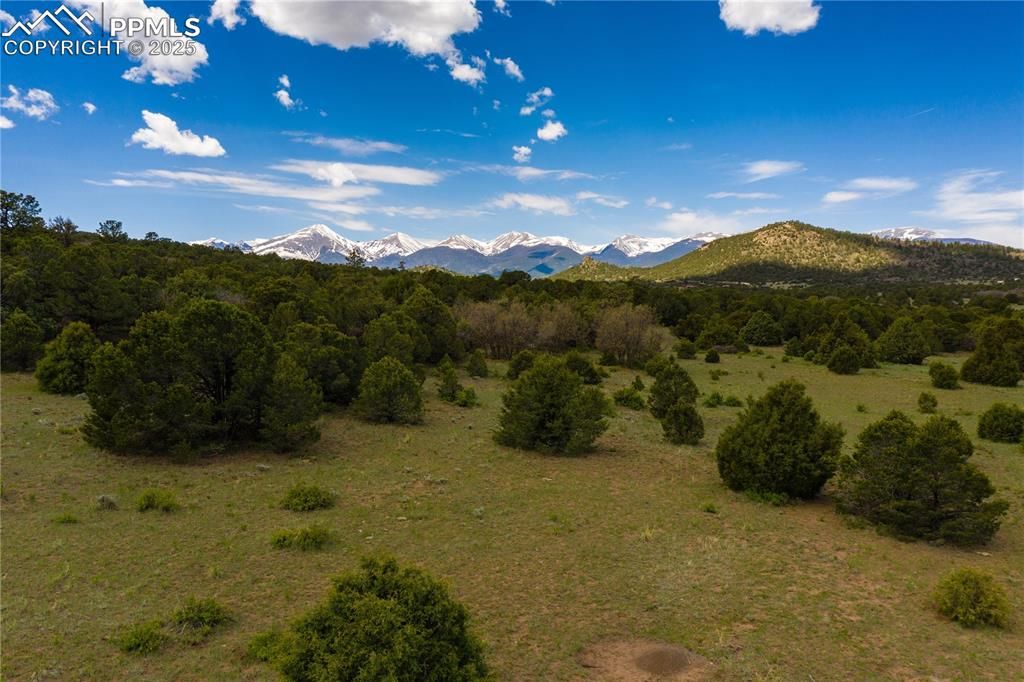 Corral Street, Cotopaxi, CO 81223 — exterior