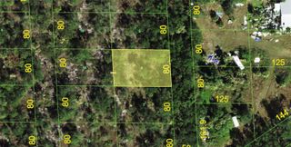 245 SAWFISH LANE, Punta Gorda, FL 33982