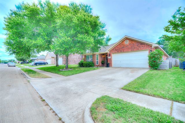 8620 Trinity Vista Trail, Fort Worth, TX 76053