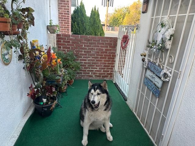 4984 Belmont Avenue, Fresno, CA 93727