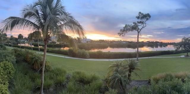 6100 JESSIE HARBOR DRIVE 203, Osprey, FL 34229