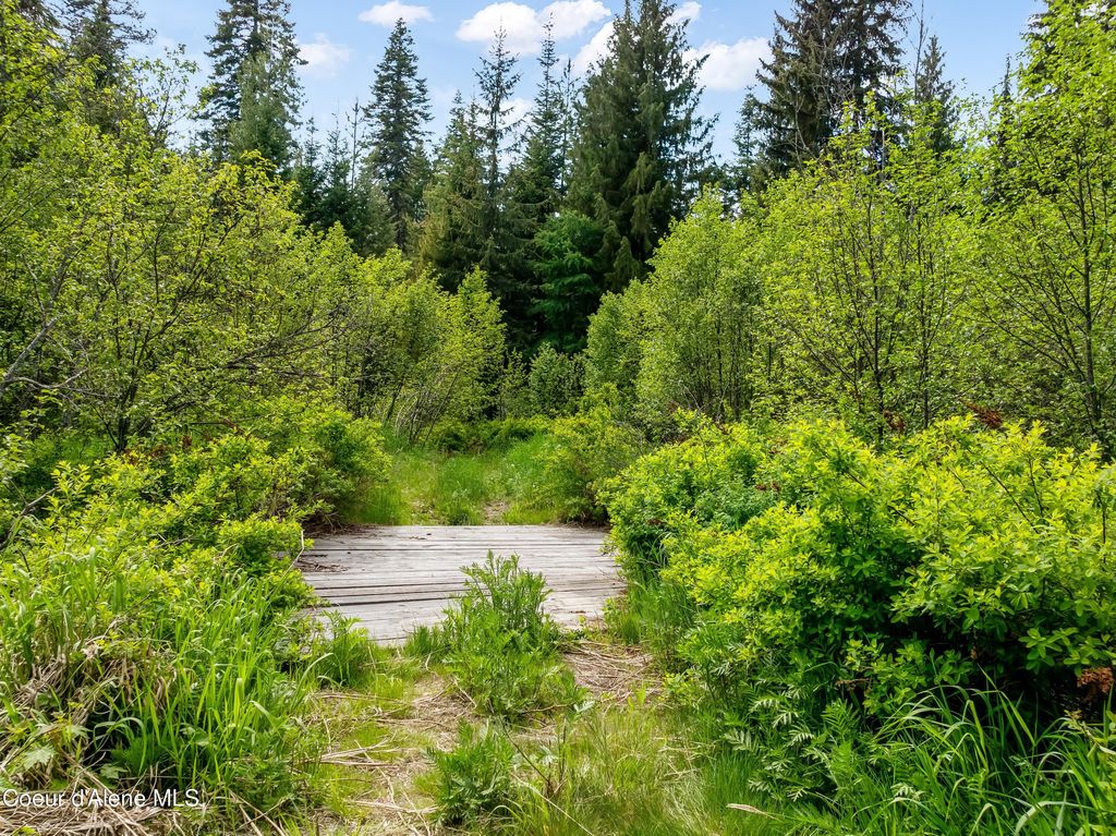 435 Shady Pines Loop, Priest Lake, ID 83856 photo 65