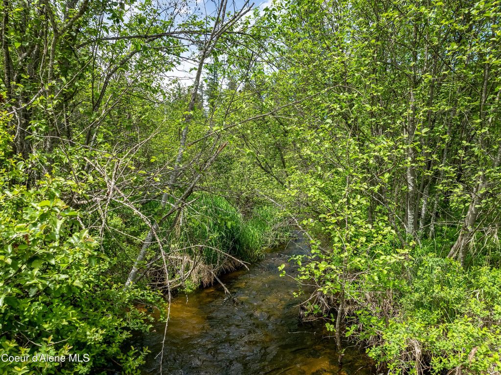 435 Shady Pines Loop, Priest Lake, ID 83856 photo 7