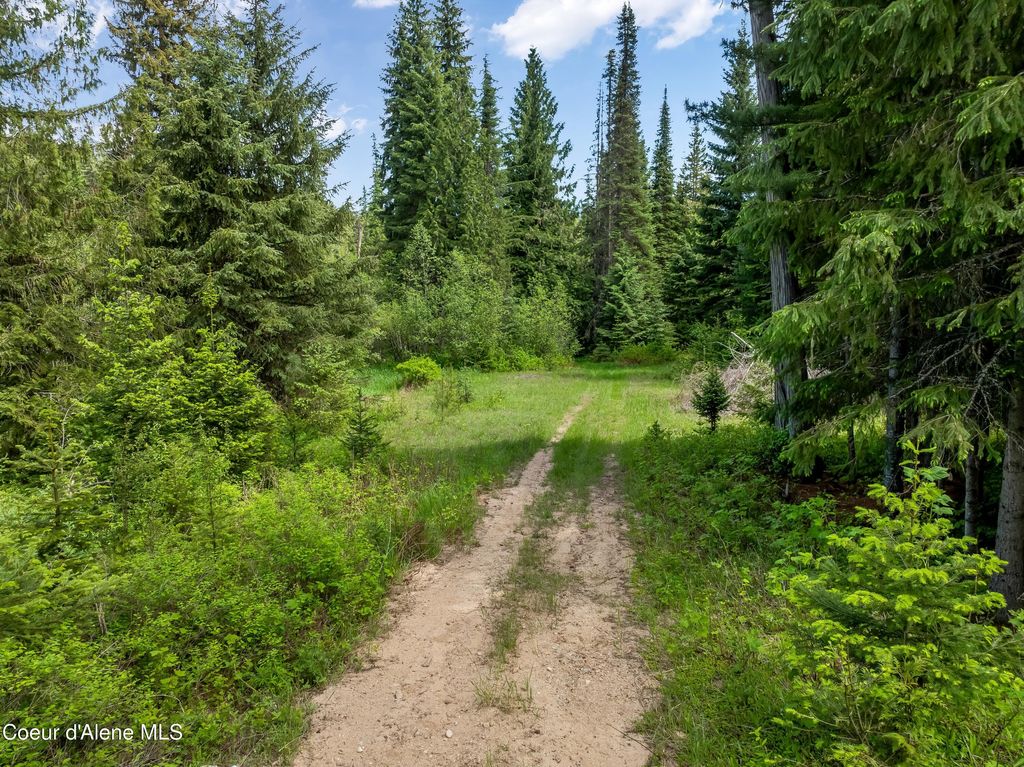 435 Shady Pines Loop, Priest Lake, ID 83856 photo 74